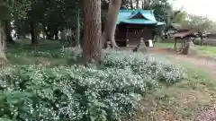 酒門神社の自然