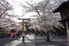 平野神社の建物その他