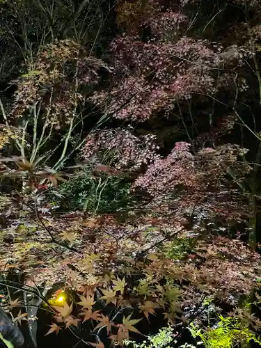 尊永寺(静岡県)