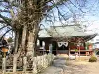 飛騨国分寺の{uncategorized: "未分類", other: "その他", undefined: "問題あり", building: "その他建物", grave: "お墓", sacred_gate: "鳥居", guardian: "狛犬", statue: "像", buddha: "仏像", history: "歴史", nature: "自然", garden: "庭園", animal: "動物", pagoda: "塔", temizu: "手水舎", mountain_gate: "山門・神門", sanctuary: "本殿・本堂", subordinate: "末社・摂社", art: "芸術", scenery: "景色", jizo: "地蔵", ema: "絵馬", goshuin: "御朱印", omikuji: "おみくじ", items: "授与品その他", amulet: "お守り", goshuincho: "御朱印帳", eats: "食事", festival: "お祭り", votive_dance: "神楽", shichigosan: "七五三参", wedding: "結婚式", experience: "体験その他", initially: "初詣", around: "周辺", anti_infection: "感染症対策"}