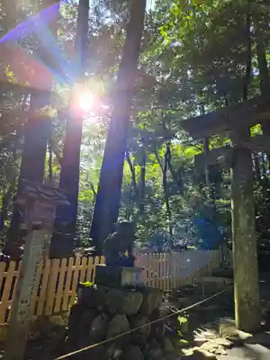 椿大神社(三重県)