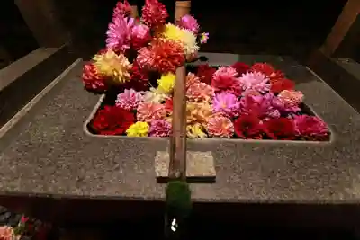 高司神社〜むすびの神の鎮まる社〜の手水舎