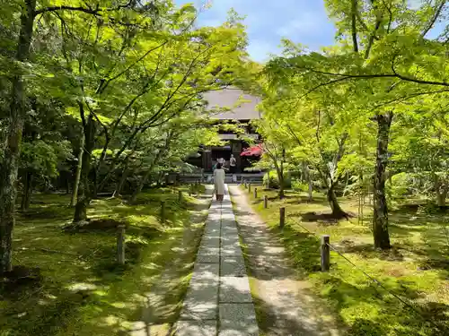 酬恩庵一休寺(京都府)