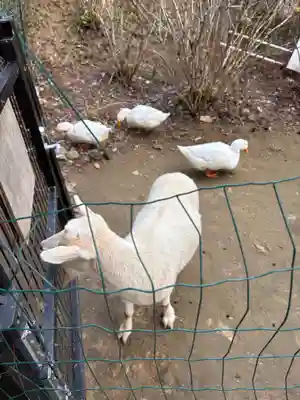 楽法寺(雨引観音)(茨城県)
