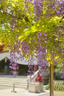 日枝神社(東京都)