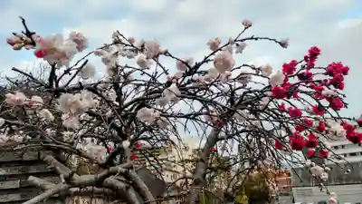 大乗寺(静岡県)