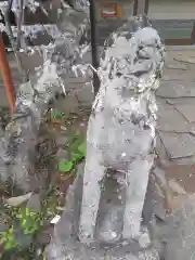 御崎神社の狛犬