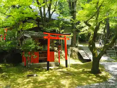 今熊野観音寺(京都府)