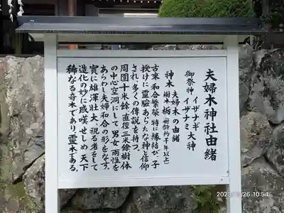 夫婦木神社(山梨県)