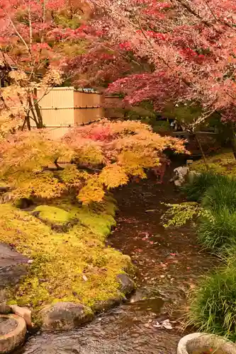 禅林寺（永観堂）(京都府)