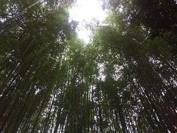 隨心院(随心院)(京都府)