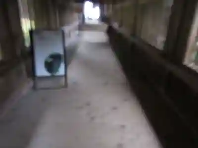 宝厳寺(滋賀県)