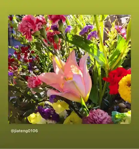 滑川神社 - 仕事と子どもの守り神の手水舎