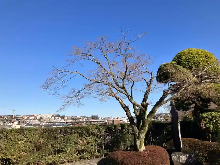 松門寺(東京都)