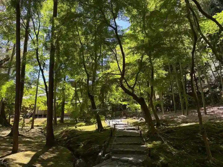 西芳寺の{uncategorized: "未分類", other: "その他", undefined: "問題あり", building: "その他建物", grave: "お墓", sacred_gate: "鳥居", guardian: "狛犬", statue: "像", buddha: "仏像", history: "歴史", nature: "自然", garden: "庭園", animal: "動物", pagoda: "塔", temizu: "手水舎", mountain_gate: "山門・神門", sanctuary: "本殿・本堂", subordinate: "末社・摂社", art: "芸術", scenery: "景色", jizo: "地蔵", ema: "絵馬", goshuin: "御朱印", omikuji: "おみくじ", items: "授与品その他", amulet: "お守り", goshuincho: "御朱印帳", eats: "食事", festival: "お祭り", votive_dance: "神楽", shichigosan: "七五三参", wedding: "結婚式", experience: "体験その他", initially: "初詣", around: "周辺", anti_infection: "感染症対策"}