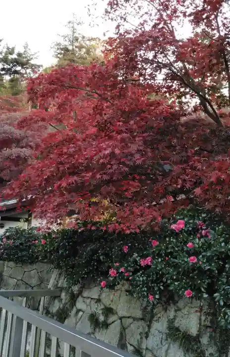 高幡不動尊 金剛寺の自然