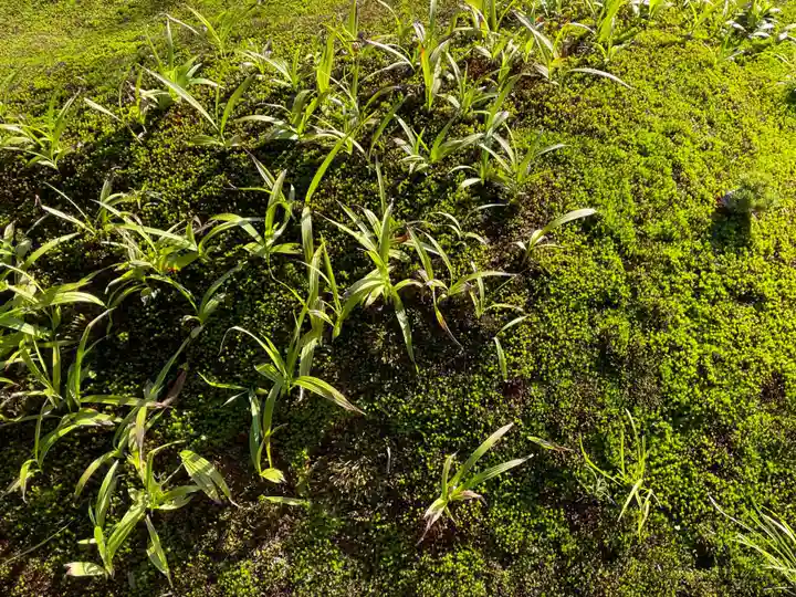 西来院(京都府)