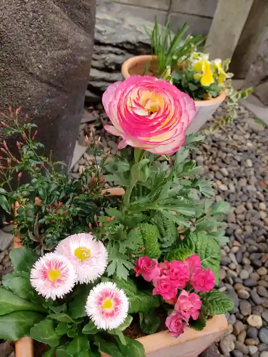 飯倉熊野神社(東京都)