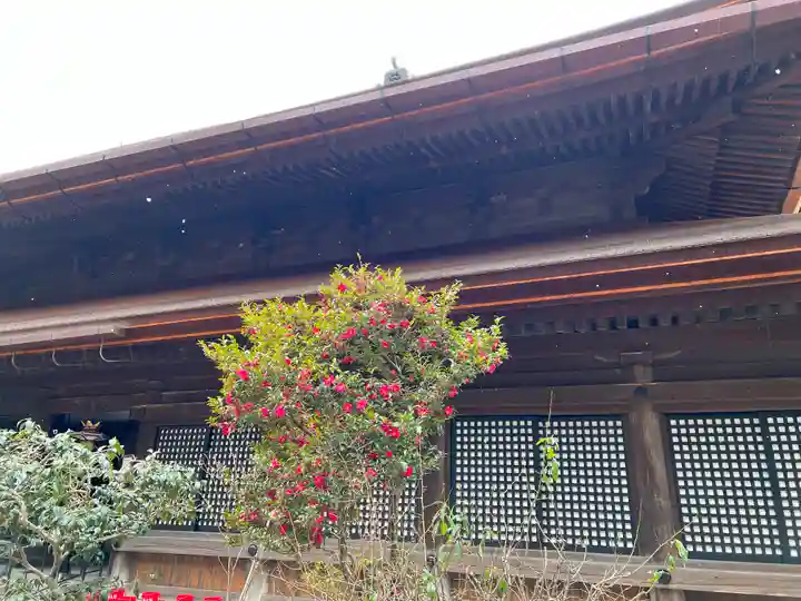 清水寺(京都府)