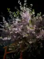 孫太郎神社の{uncategorized: "未分類", other: "その他", undefined: "問題あり", building: "その他建物", grave: "お墓", sacred_gate: "鳥居", guardian: "狛犬", statue: "像", buddha: "仏像", history: "歴史", nature: "自然", garden: "庭園", animal: "動物", pagoda: "塔", temizu: "手水舎", mountain_gate: "山門・神門", sanctuary: "本殿・本堂", subordinate: "末社・摂社", art: "芸術", scenery: "景色", jizo: "地蔵", ema: "絵馬", goshuin: "御朱印", omikuji: "おみくじ", items: "授与品その他", amulet: "お守り", goshuincho: "御朱印帳", eats: "食事", festival: "お祭り", votive_dance: "神楽", shichigosan: "七五三参", wedding: "結婚式", experience: "体験その他", initially: "初詣", around: "周辺", anti_infection: "感染症対策"}