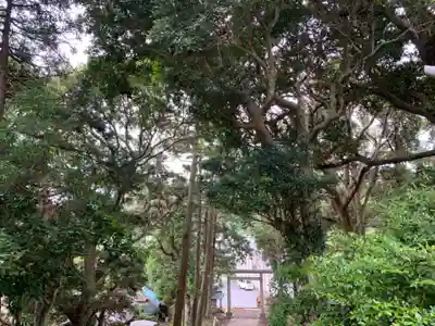 大宮神社のその他建物