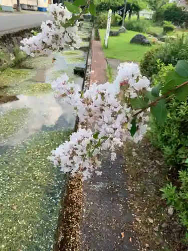 小烏神社(福井県)