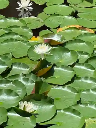 陽林寺(福島県)