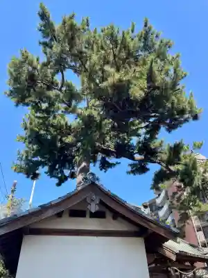 東伏見氷川神社の{uncategorized: "未分類", other: "その他", undefined: "問題あり", building: "その他建物", grave: "お墓", sacred_gate: "鳥居", guardian: "狛犬", statue: "像", buddha: "仏像", history: "歴史", nature: "自然", garden: "庭園", animal: "動物", pagoda: "塔", temizu: "手水舎", mountain_gate: "山門・神門", sanctuary: "本殿・本堂", subordinate: "末社・摂社", art: "芸術", scenery: "景色", jizo: "地蔵", ema: "絵馬", goshuin: "御朱印", omikuji: "おみくじ", items: "授与品その他", amulet: "お守り", goshuincho: "御朱印帳", eats: "食事", festival: "お祭り", votive_dance: "神楽", shichigosan: "七五三参", wedding: "結婚式", experience: "体験その他", initially: "初詣", around: "周辺", anti_infection: "感染症対策"}