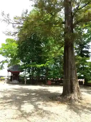 不動院(板橋不動尊)のその他建物