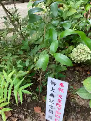 報徳二宮神社の自然
