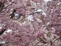 阿邪訶根神社の自然