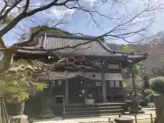 安國論寺（安国論寺）の本殿