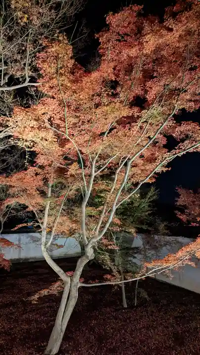 妙覺寺(妙覚寺)(京都府)
