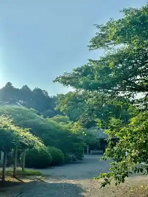 浄土寺(兵庫県)