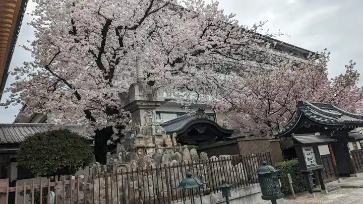 壬生寺(京都府)