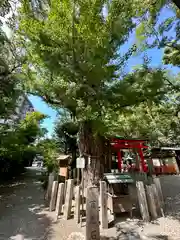 杭全神社(大阪府)