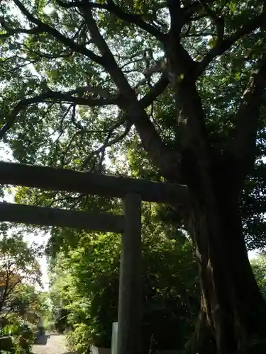 東昌寺(茨城県)