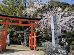 山中八幡宮(愛知県)