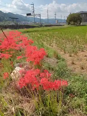 穴太寺(京都府)