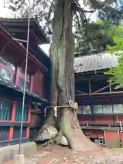 北口本宮冨士浅間神社(山梨県)