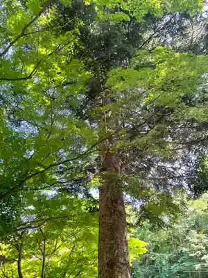 長根寺(岩手県)