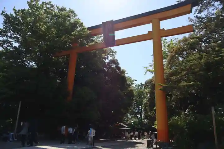 川越氷川神社(埼玉県)