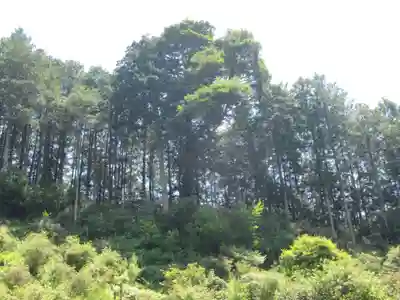 輪光院(東京都)