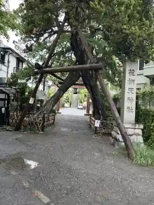 荏柄天神社の{uncategorized: "未分類", other: "その他", undefined: "問題あり", building: "その他建物", grave: "お墓", sacred_gate: "鳥居", guardian: "狛犬", statue: "像", buddha: "仏像", history: "歴史", nature: "自然", garden: "庭園", animal: "動物", pagoda: "塔", temizu: "手水舎", mountain_gate: "山門・神門", sanctuary: "本殿・本堂", subordinate: "末社・摂社", art: "芸術", scenery: "景色", jizo: "地蔵", ema: "絵馬", goshuin: "御朱印", omikuji: "おみくじ", items: "授与品その他", amulet: "お守り", goshuincho: "御朱印帳", eats: "食事", festival: "お祭り", votive_dance: "神楽", shichigosan: "七五三参", wedding: "結婚式", experience: "体験その他", initially: "初詣", around: "周辺", anti_infection: "感染症対策"}