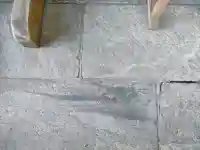 三峯神社の{uncategorized: "未分類", other: "その他", undefined: "問題あり", building: "その他建物", grave: "お墓", sacred_gate: "鳥居", guardian: "狛犬", statue: "像", buddha: "仏像", history: "歴史", nature: "自然", garden: "庭園", animal: "動物", pagoda: "塔", temizu: "手水舎", mountain_gate: "山門・神門", sanctuary: "本殿・本堂", subordinate: "末社・摂社", art: "芸術", scenery: "景色", jizo: "地蔵", ema: "絵馬", goshuin: "御朱印", omikuji: "おみくじ", items: "授与品その他", amulet: "お守り", goshuincho: "御朱印帳", eats: "食事", festival: "お祭り", votive_dance: "神楽", shichigosan: "七五三参", wedding: "結婚式", experience: "体験その他", initially: "初詣", around: "周辺", anti_infection: "感染症対策"}