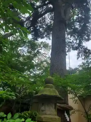 宗像神社のその他建物