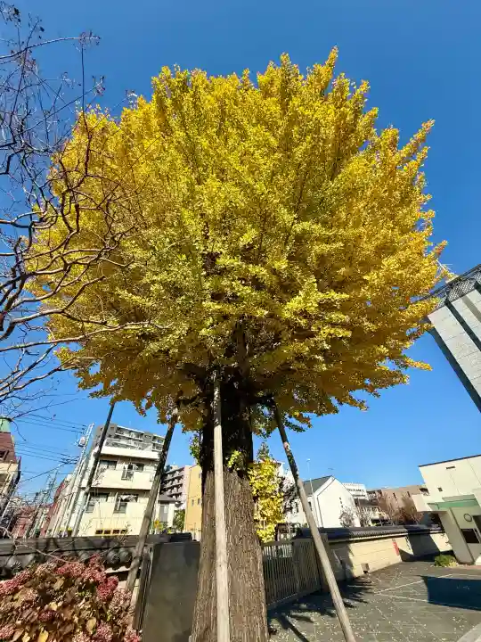 勝楽寺(東京都)