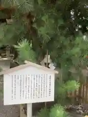 安久美神戸神明社の建物その他