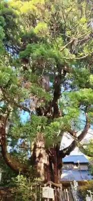 大悲山の石仏(福島県)