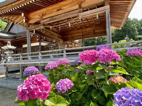 粟井神社の自然